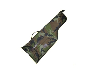 case_2020